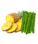 Freshly Cut & Sprouts